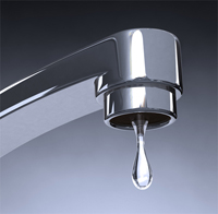 Toilets Faucets And Disposals